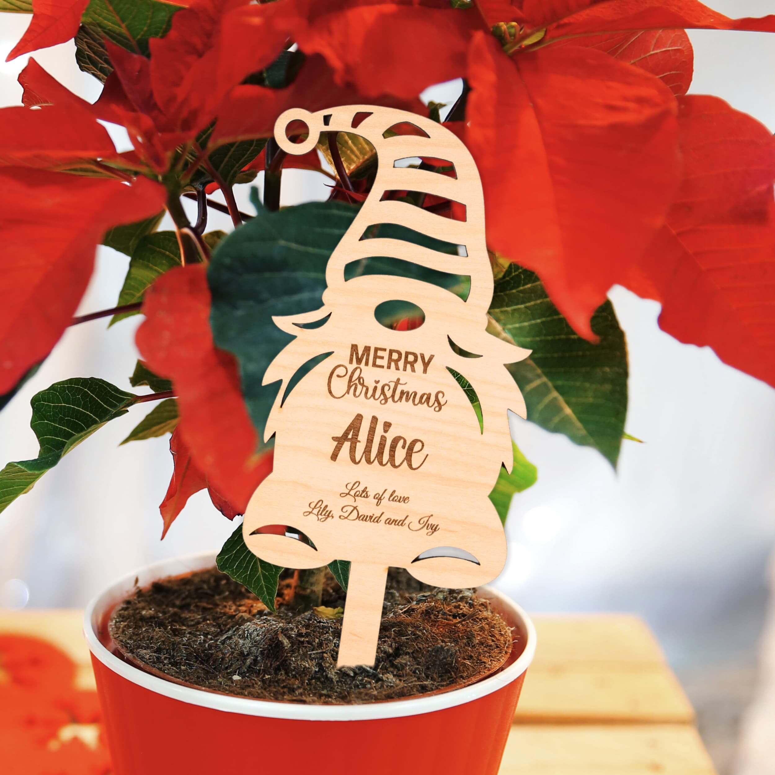 Personalised Christmas Elf wooden garden stake in a red flower pot with festive message and name.